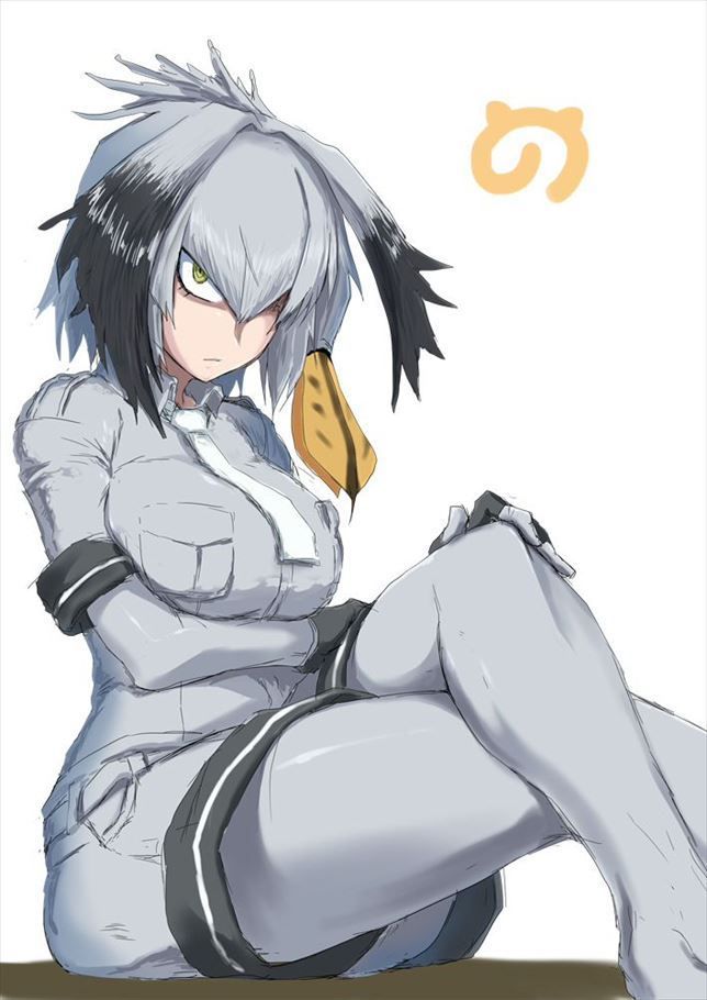 50 erotic images of Mr. shoebill [the installation frame (beast friends)] 39