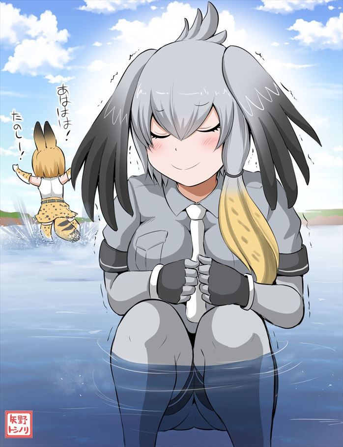 50 erotic images of Mr. shoebill [the installation frame (beast friends)] 6