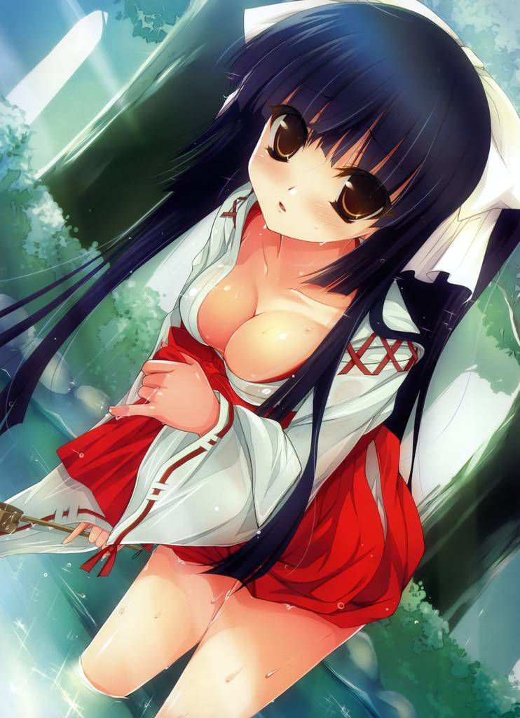 [Shrine] a shrine maiden outfit, naughty to Miko for two-dimensional erotic pictures! part4 9
