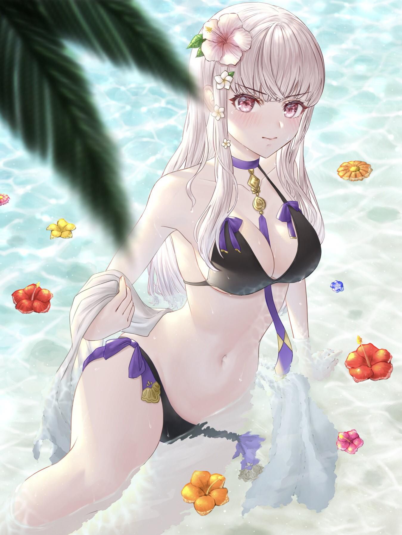 Gather those who want to nudge with the erotic images of Fire Emblem! 5