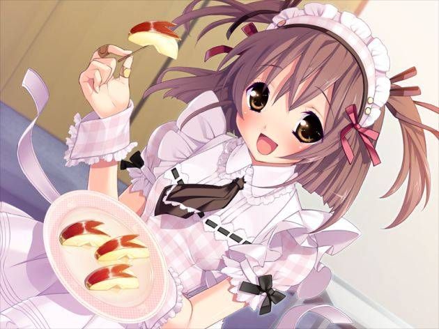 [Maid] If your service maids two-dimensional erotic images part11 20