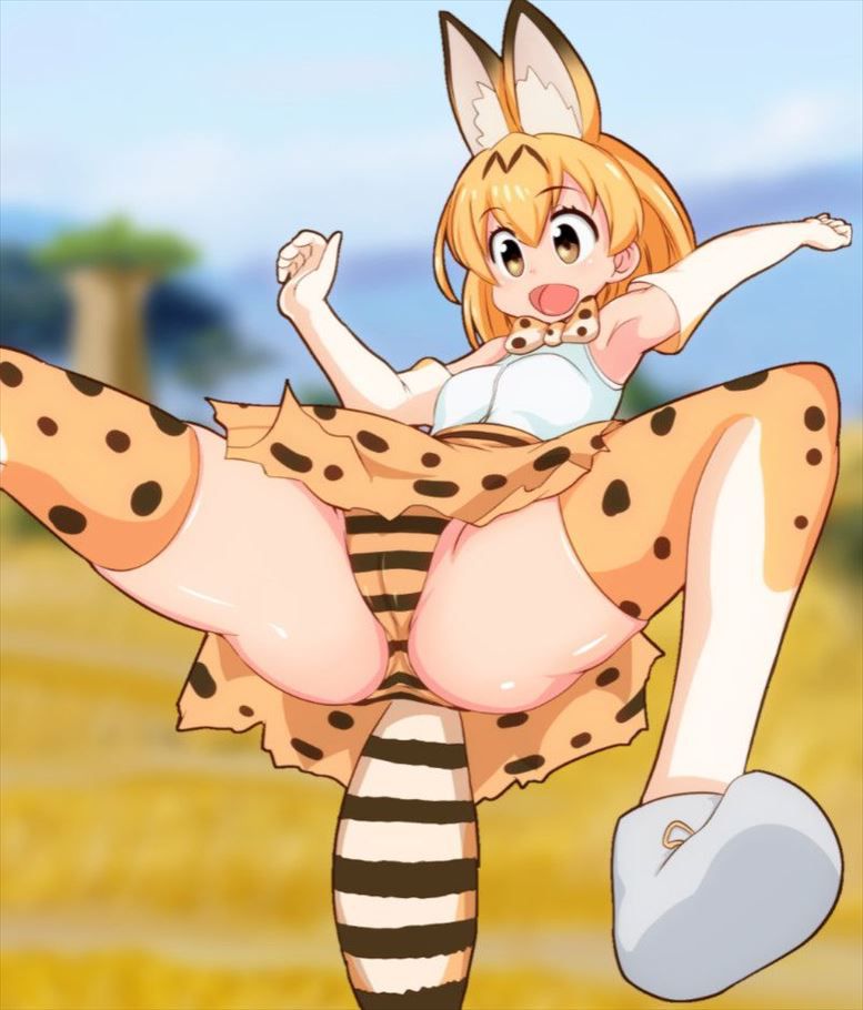 Summary of secondary erotic images of Kemono Friends 20