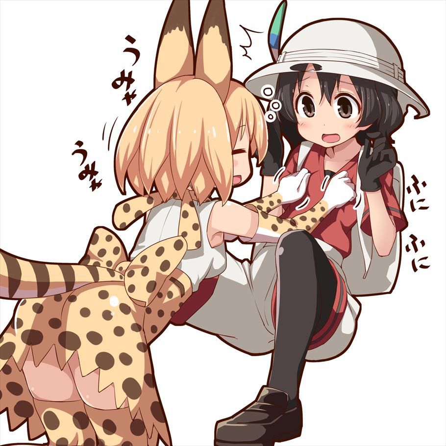 Summary of secondary erotic images of Kemono Friends 5