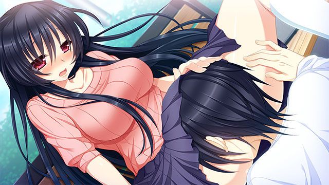 Sister game! Sister of longing and SEX! Eroge 45 2: erotic images visit the 9th! 12