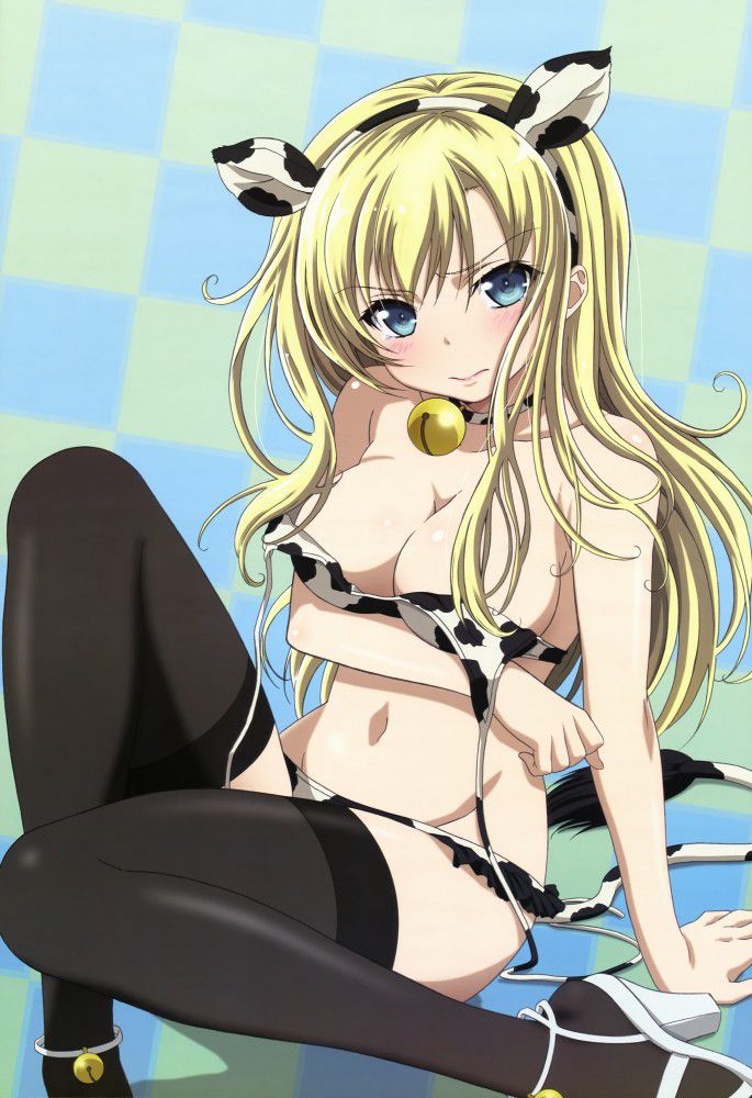 "Haganai" of meat together images to admire the Kashiwazaki Sena's dirty little schoolgirl body part2 14