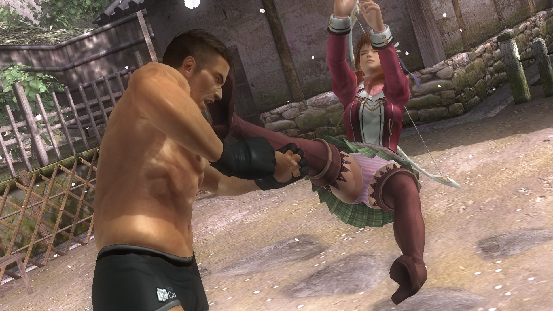 DOA5LR haze (Japan falcomcos) on leg distortion, arms hard congratulations ryona 2