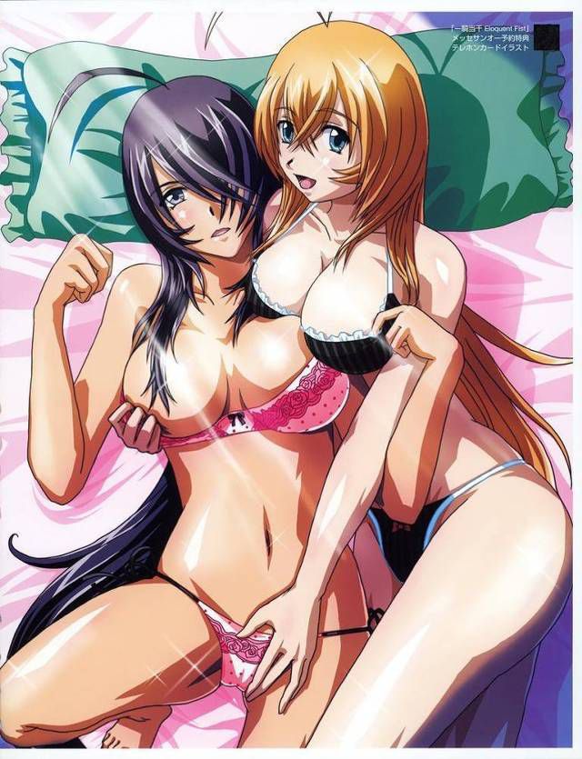 MOE illustration of Ikki Tousen 13