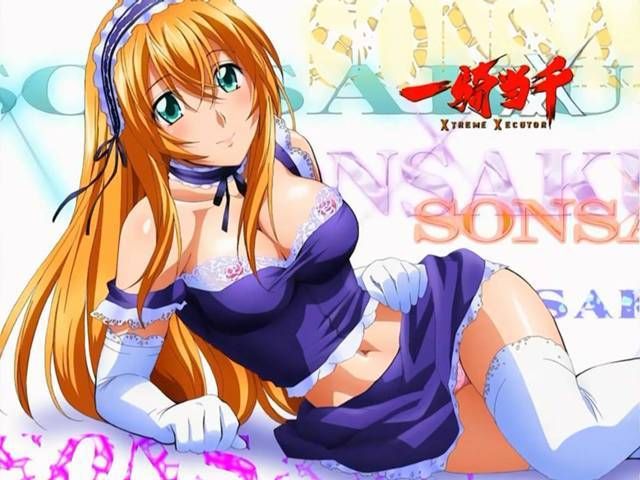 MOE illustration of Ikki Tousen 7