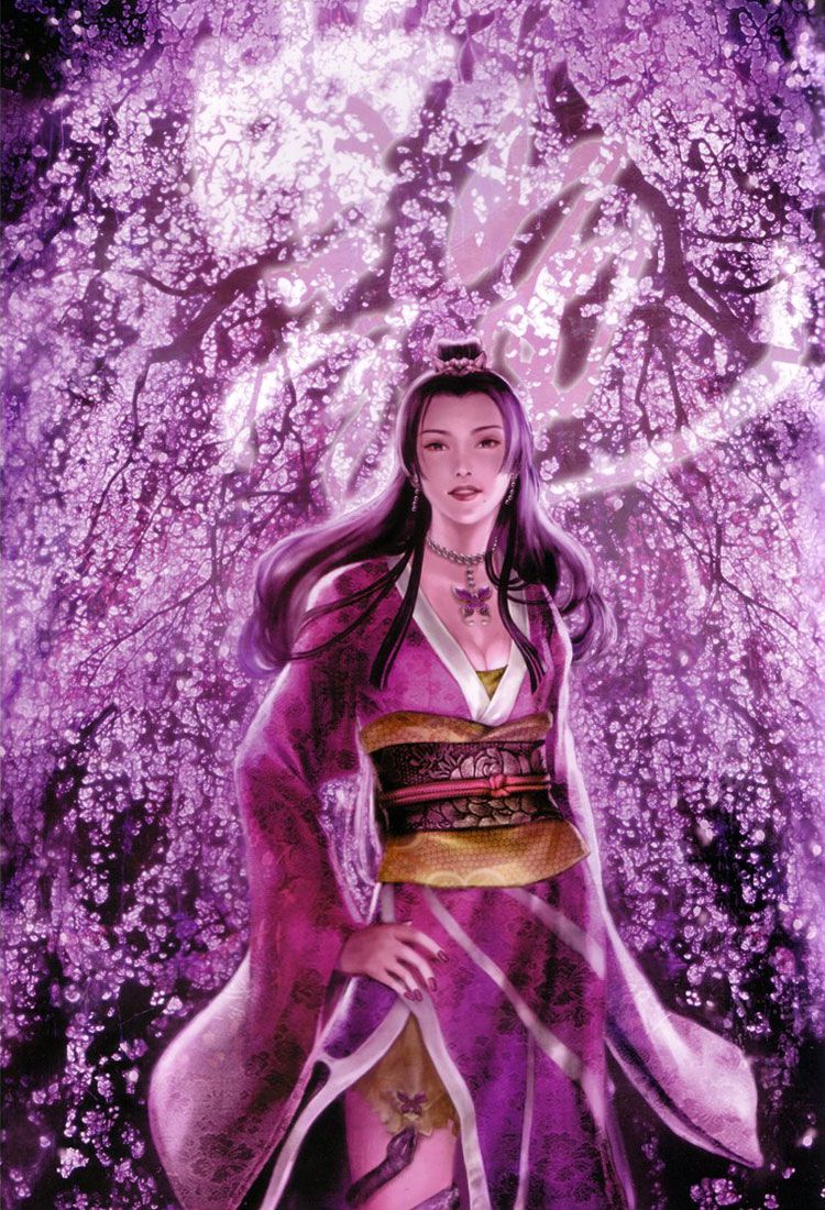 Picture of dark Princess from the Samurai Warriors series 14