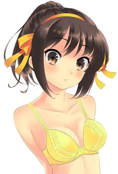 50 illustrations of Haruhi Suzumiya 10