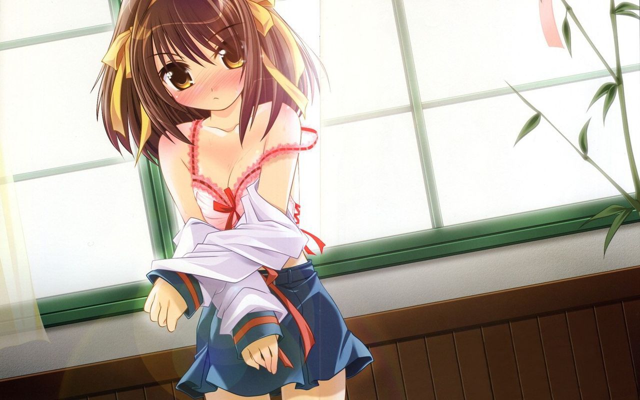 50 illustrations of Haruhi Suzumiya 23