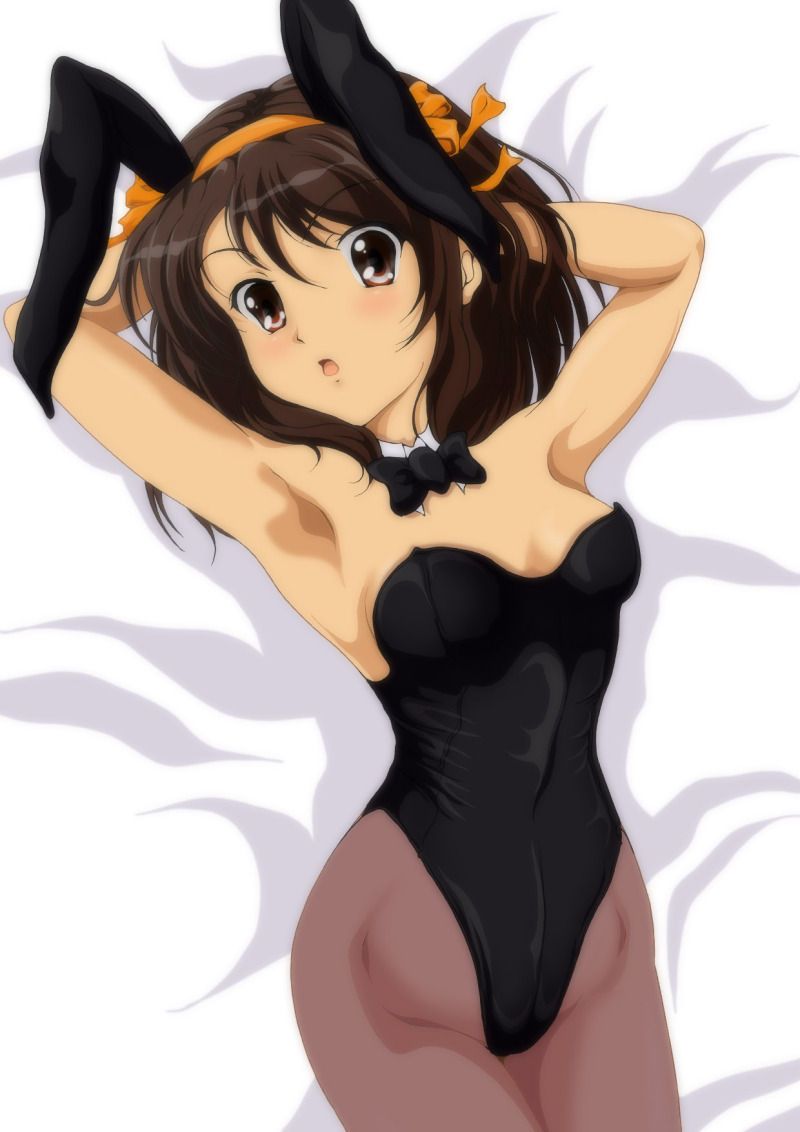 50 illustrations of Haruhi Suzumiya 6