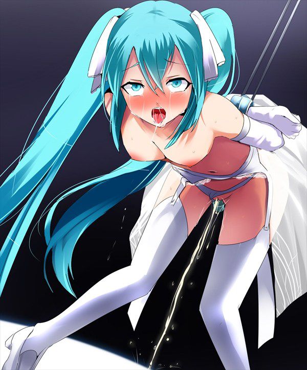 [Secondary erotic images] [VOCALOID, vocaloid] hatsune miku-Chan in various versions in Mexico would be 45 erotic images | Part7 27