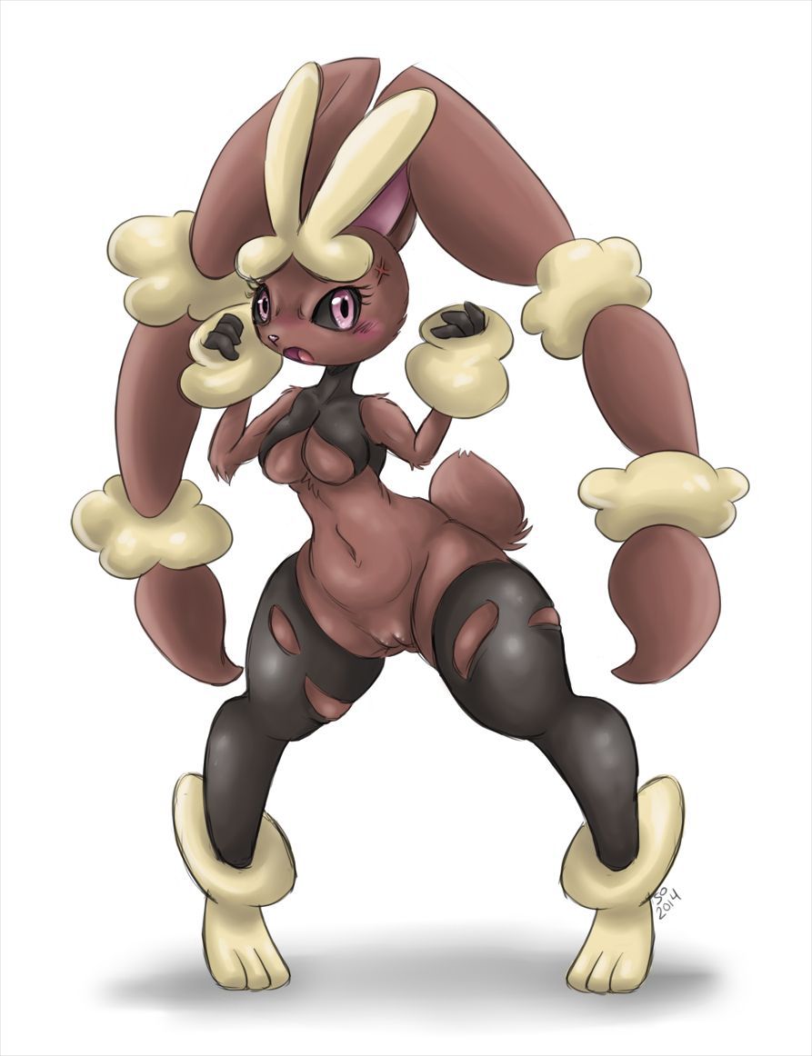 [Pokemon] Mega Lopunny 317