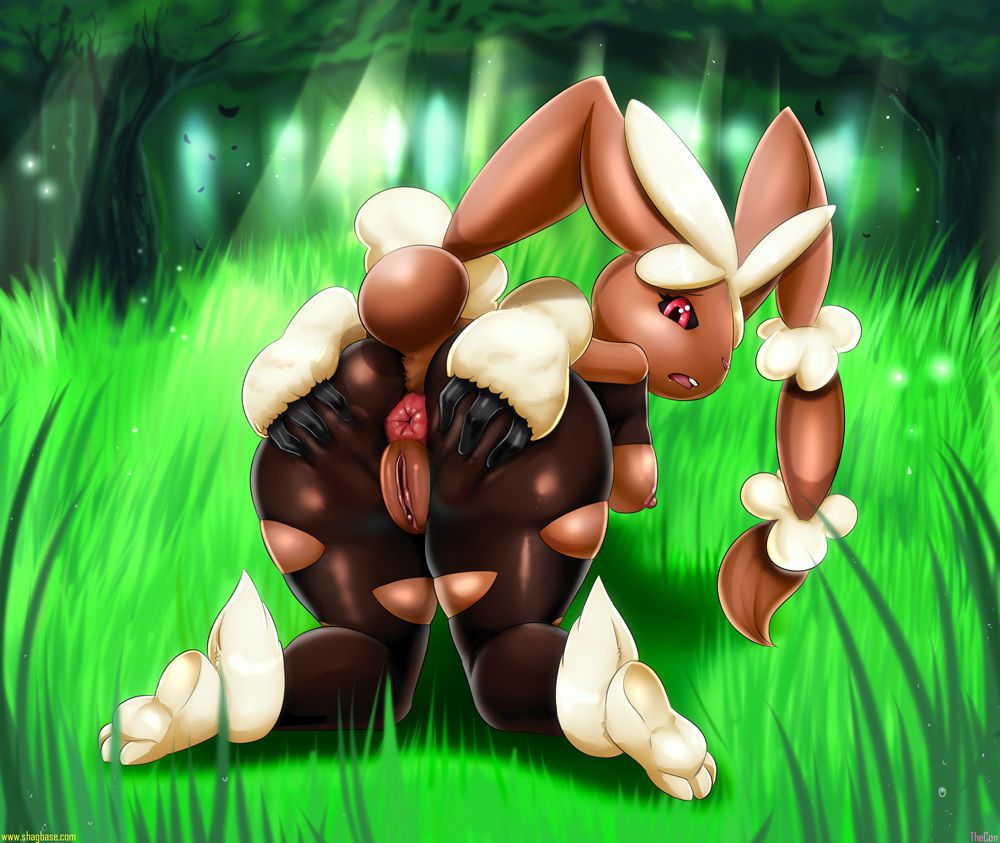 [Pokemon] Mega Lopunny 375