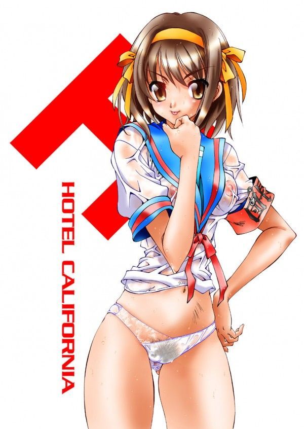 Is the melancholy of Haruhi Suzumiya images erotic want? 2