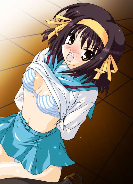 Is the melancholy of Haruhi Suzumiya images erotic want? 3