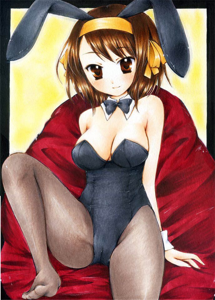 Is the melancholy of Haruhi Suzumiya images erotic want? 5