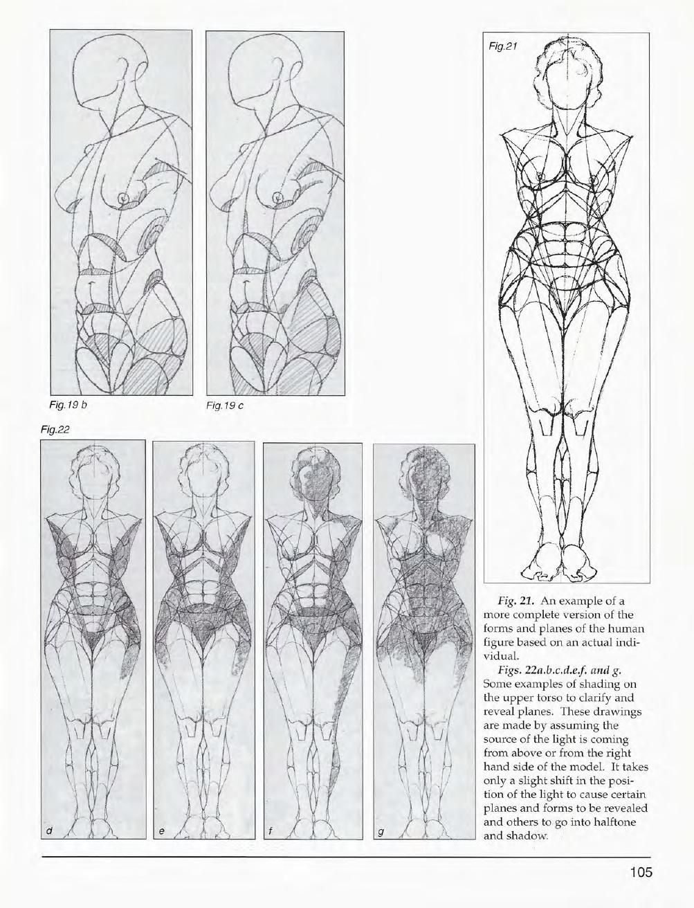 Mastering Drawing the Human Figure: From Life, Memory and Imagination 106