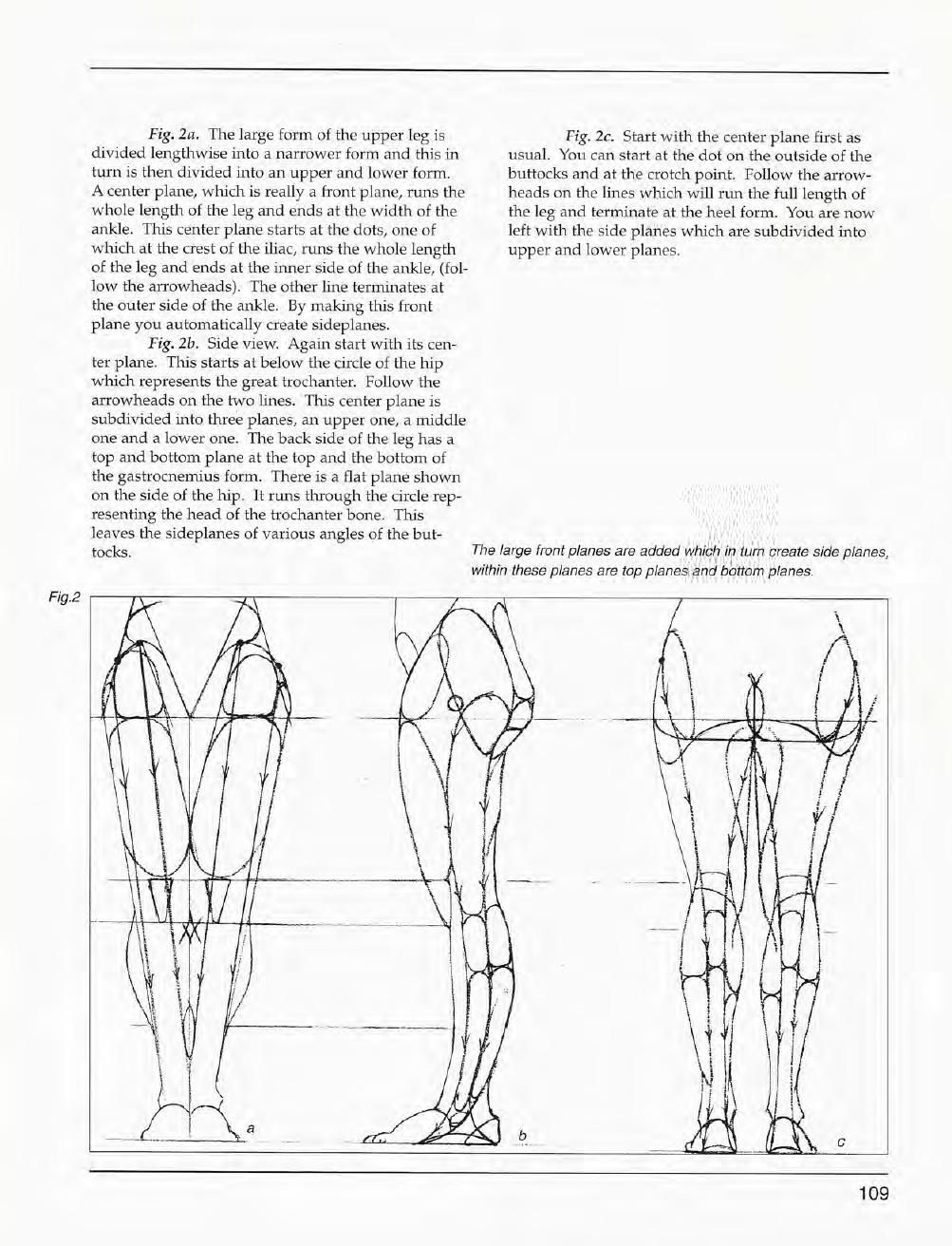 Mastering Drawing the Human Figure: From Life, Memory and Imagination 110