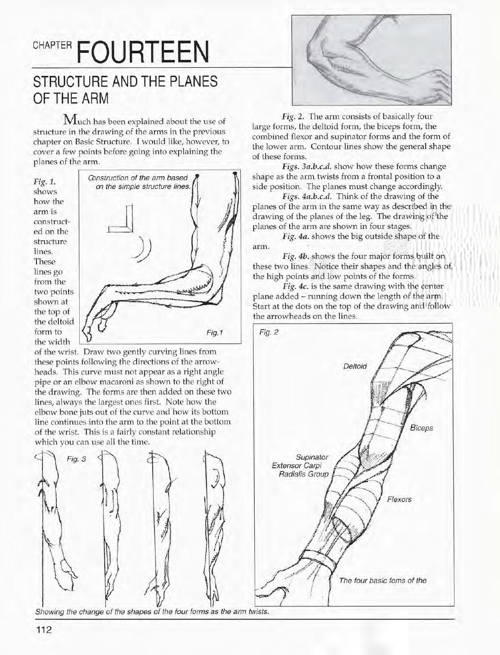 Mastering Drawing the Human Figure: From Life, Memory and Imagination 113