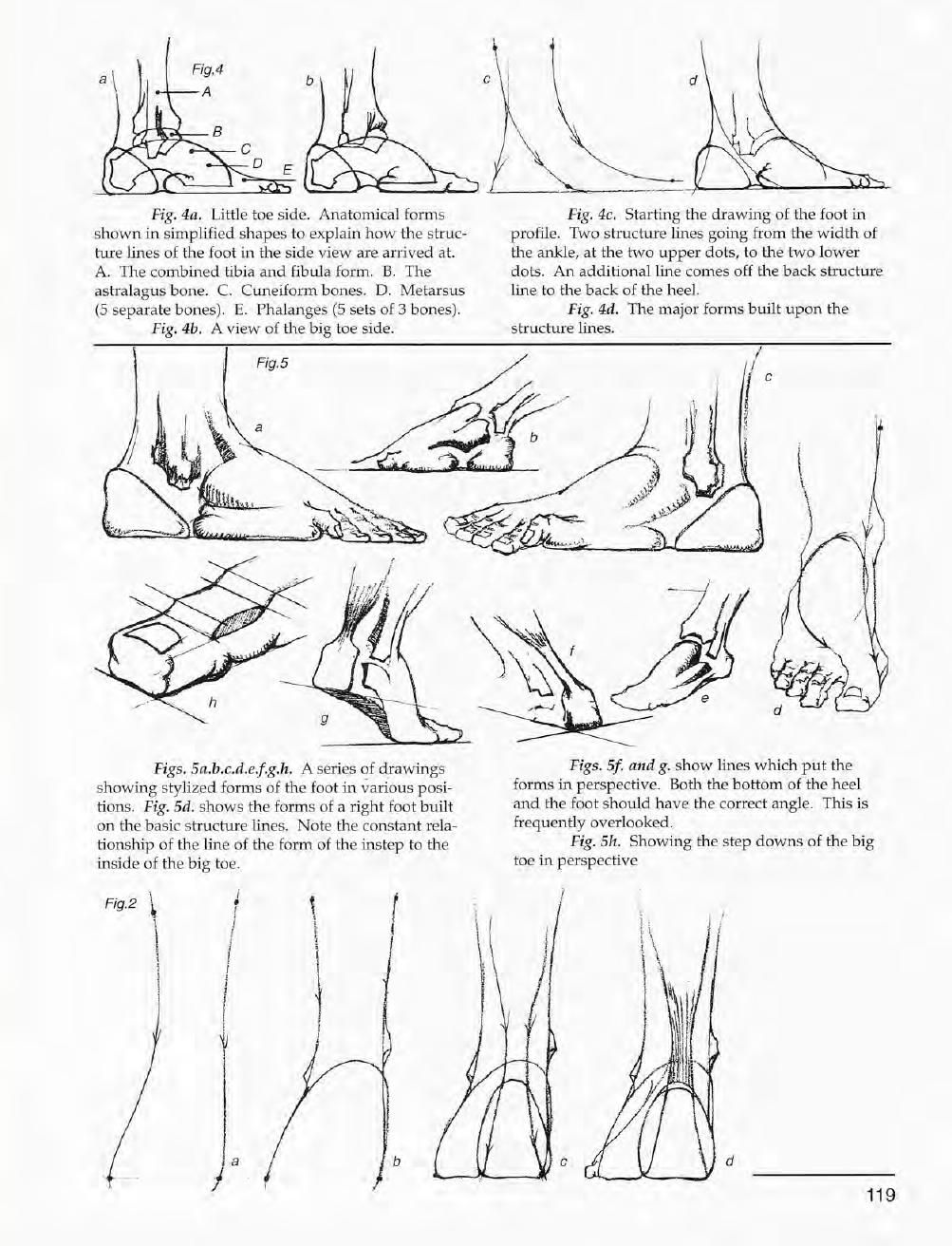 Mastering Drawing the Human Figure: From Life, Memory and Imagination 120