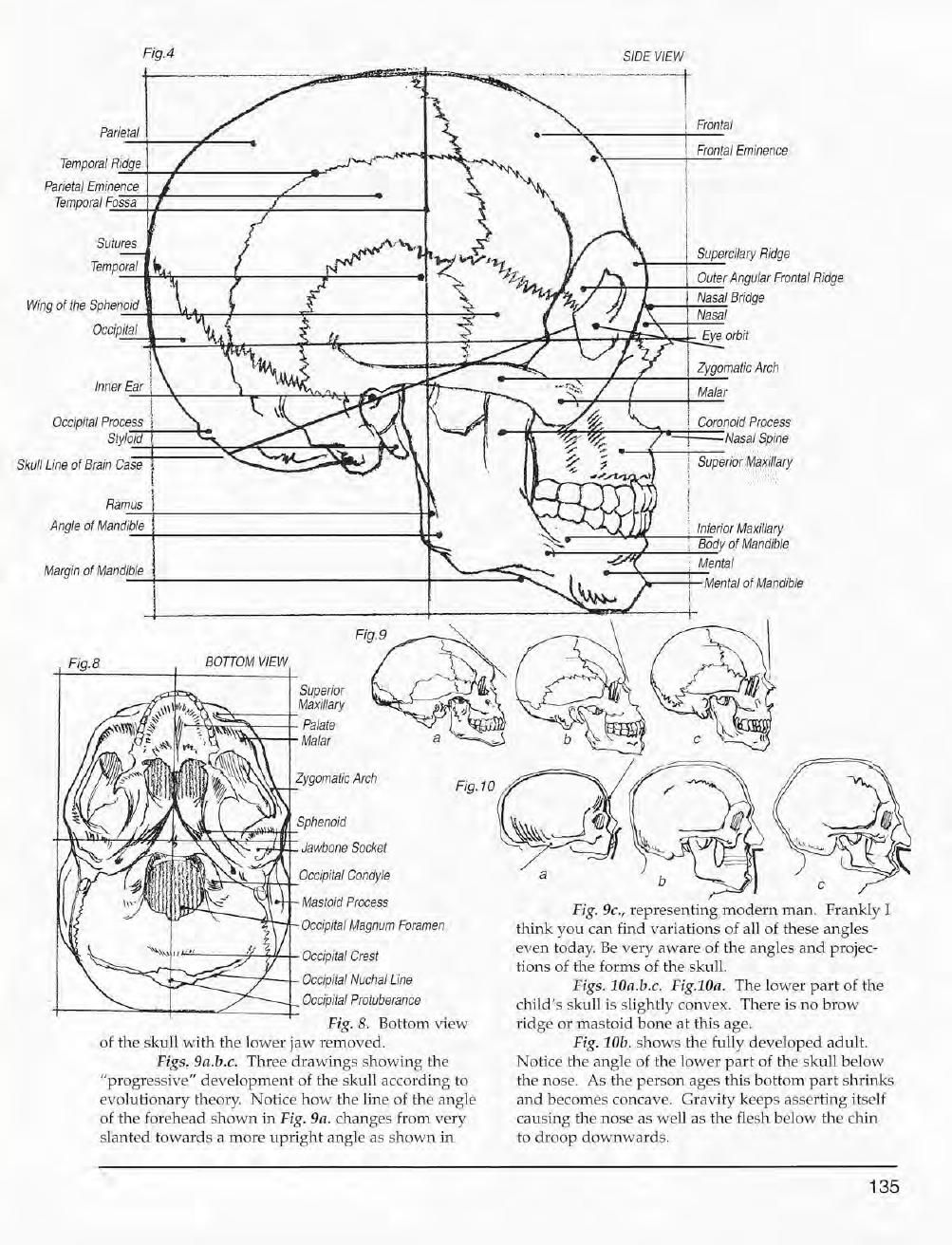 Mastering Drawing the Human Figure: From Life, Memory and Imagination 136