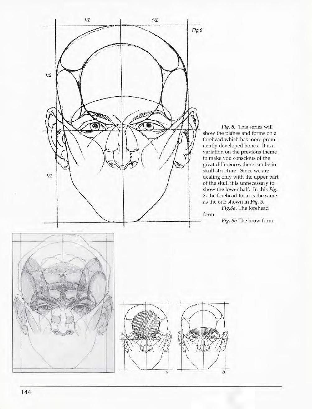 Mastering Drawing the Human Figure: From Life, Memory and Imagination 145