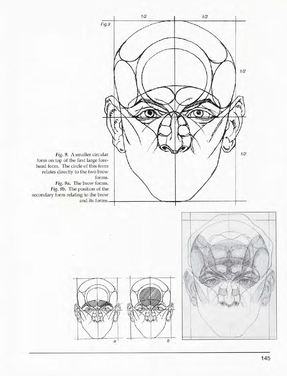 Mastering Drawing the Human Figure: From Life, Memory and Imagination 146