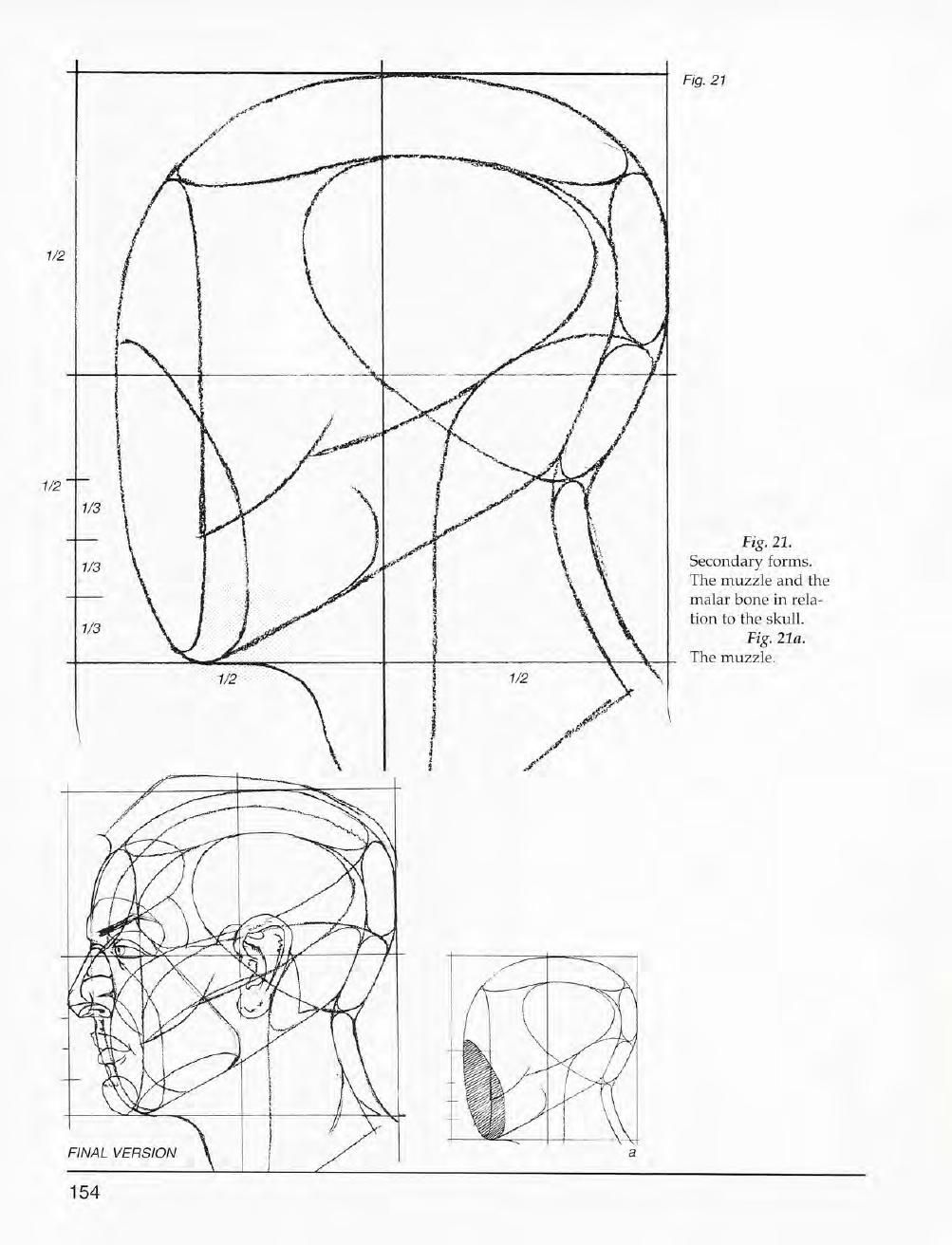 Mastering Drawing the Human Figure: From Life, Memory and Imagination 155