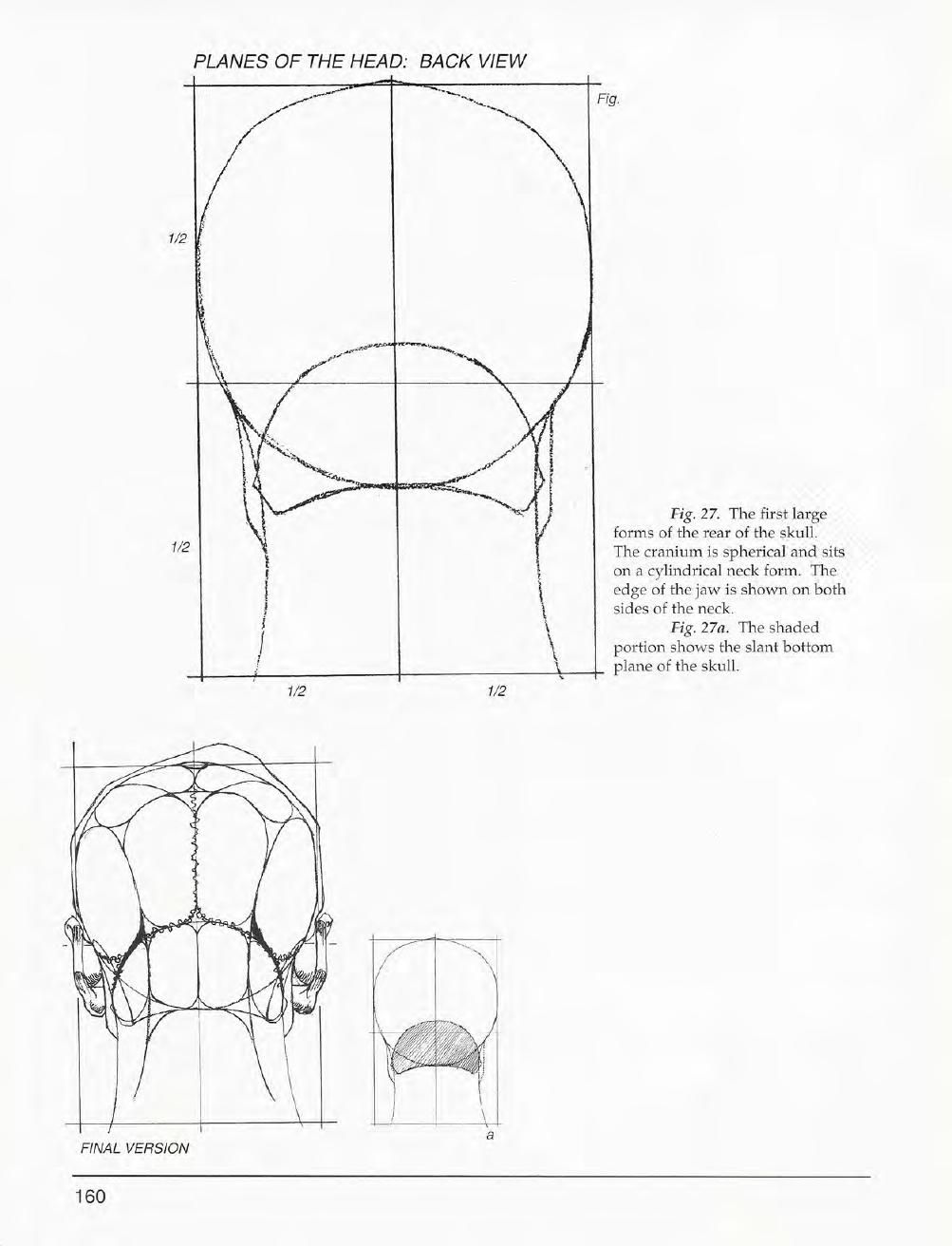 Mastering Drawing the Human Figure: From Life, Memory and Imagination 161