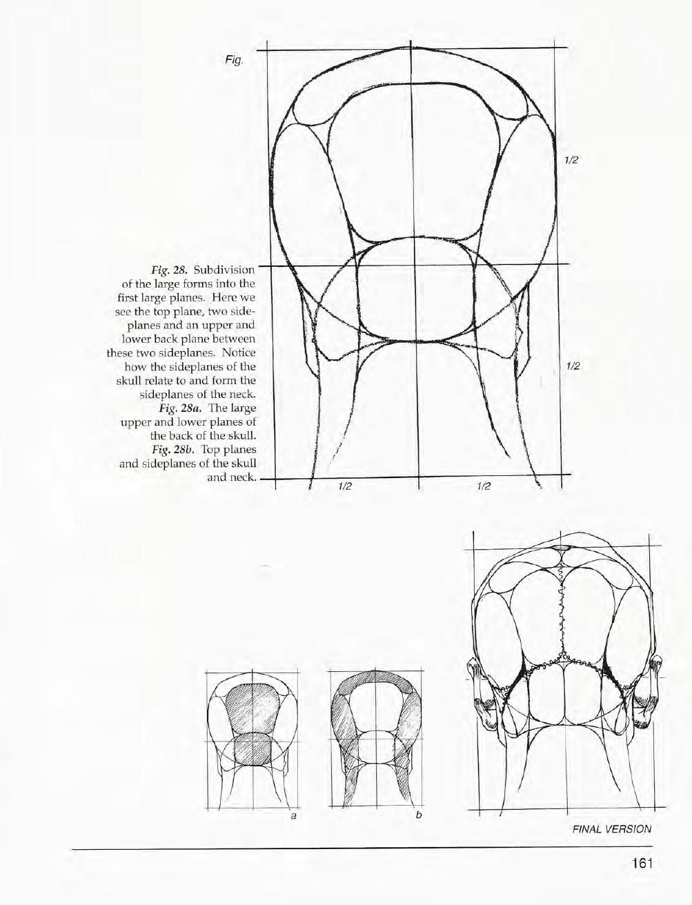 Mastering Drawing the Human Figure: From Life, Memory and Imagination 162