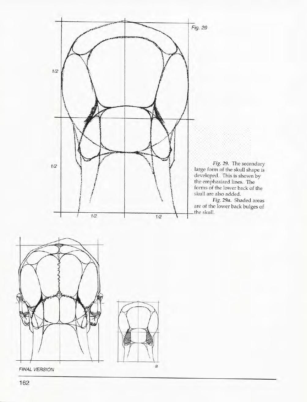 Mastering Drawing the Human Figure: From Life, Memory and Imagination 163