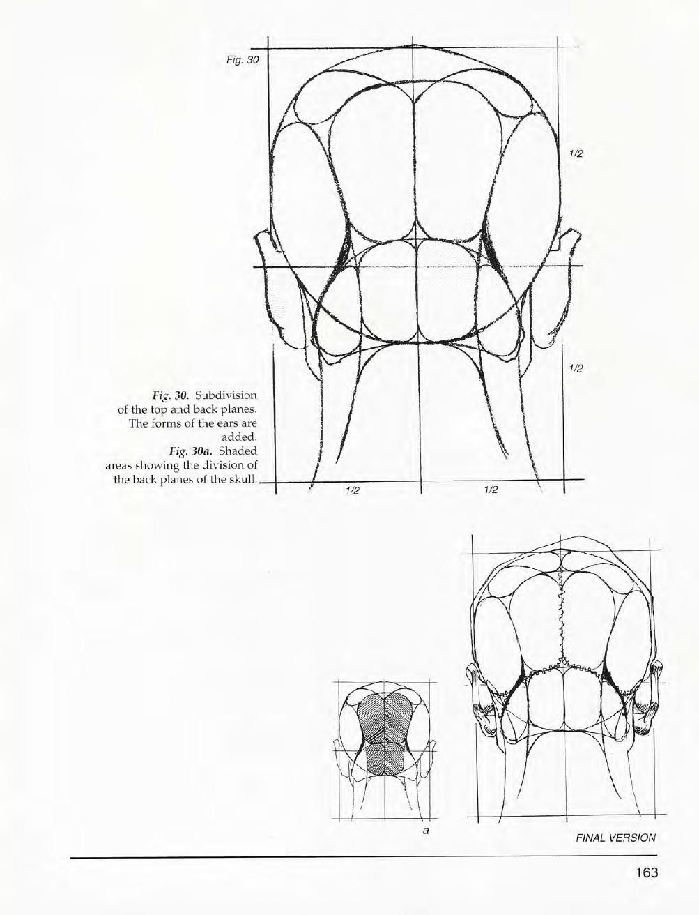 Mastering Drawing the Human Figure: From Life, Memory and Imagination 164