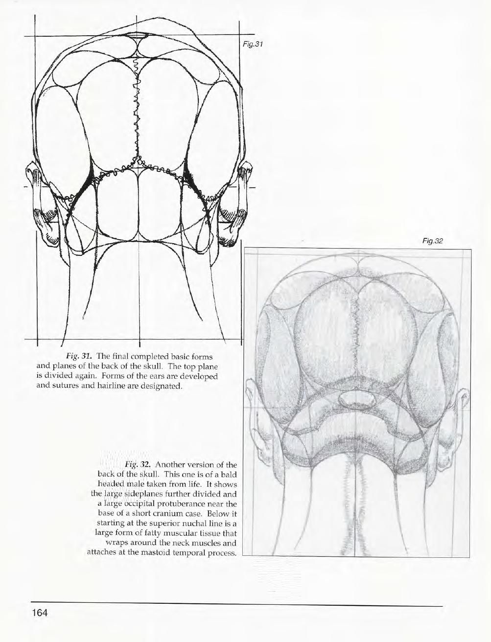 Mastering Drawing the Human Figure: From Life, Memory and Imagination 165