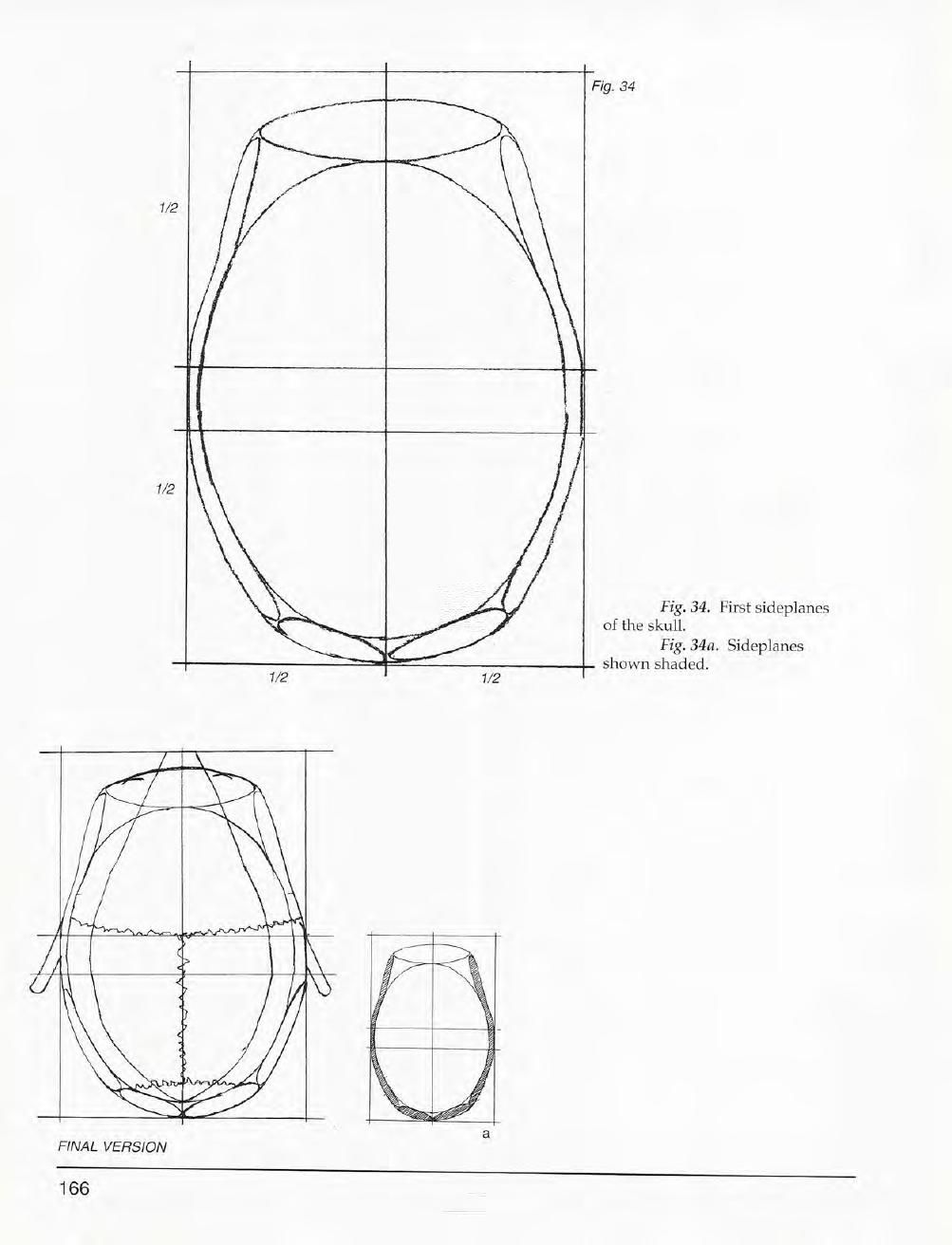 Mastering Drawing the Human Figure: From Life, Memory and Imagination 167