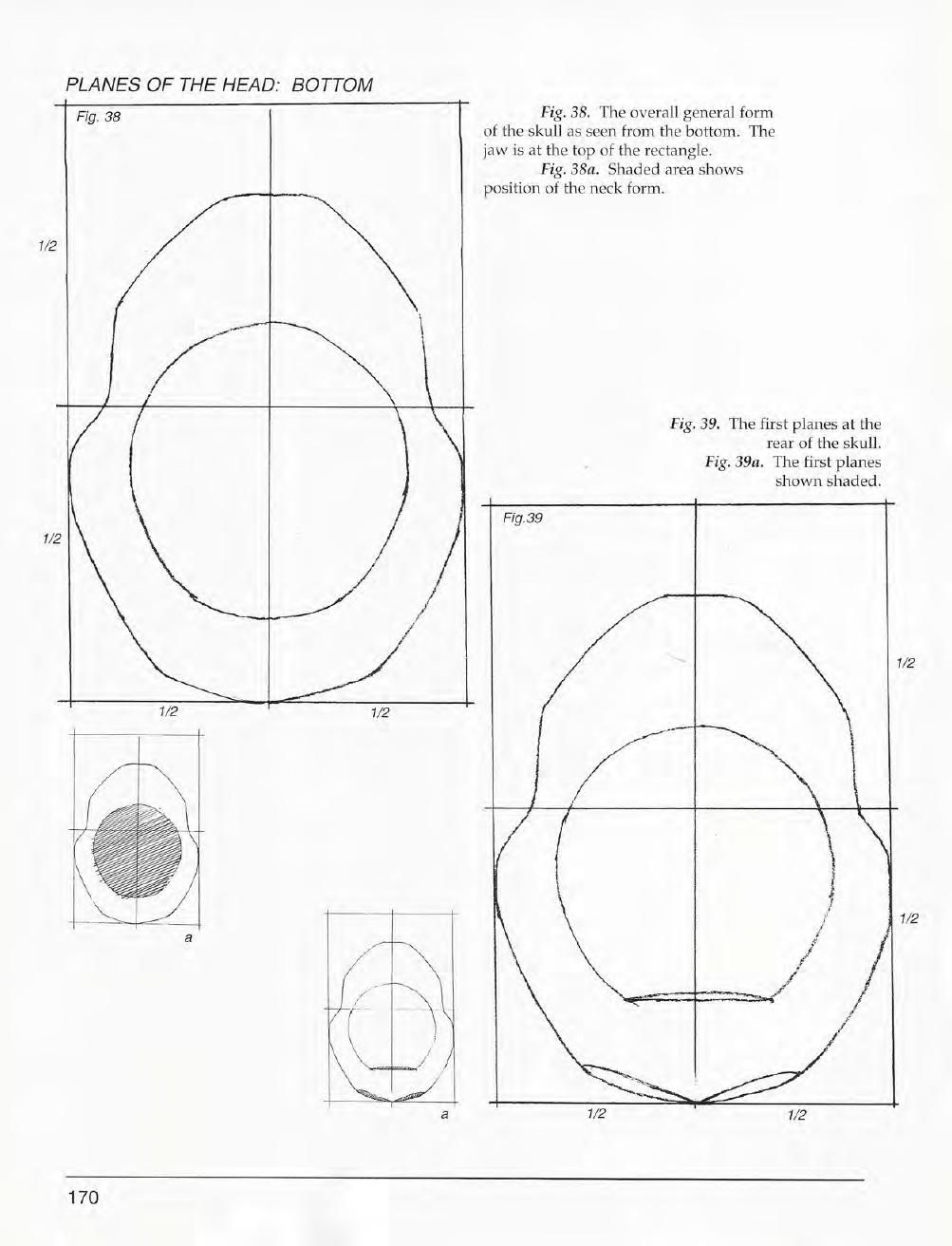 Mastering Drawing the Human Figure: From Life, Memory and Imagination 171