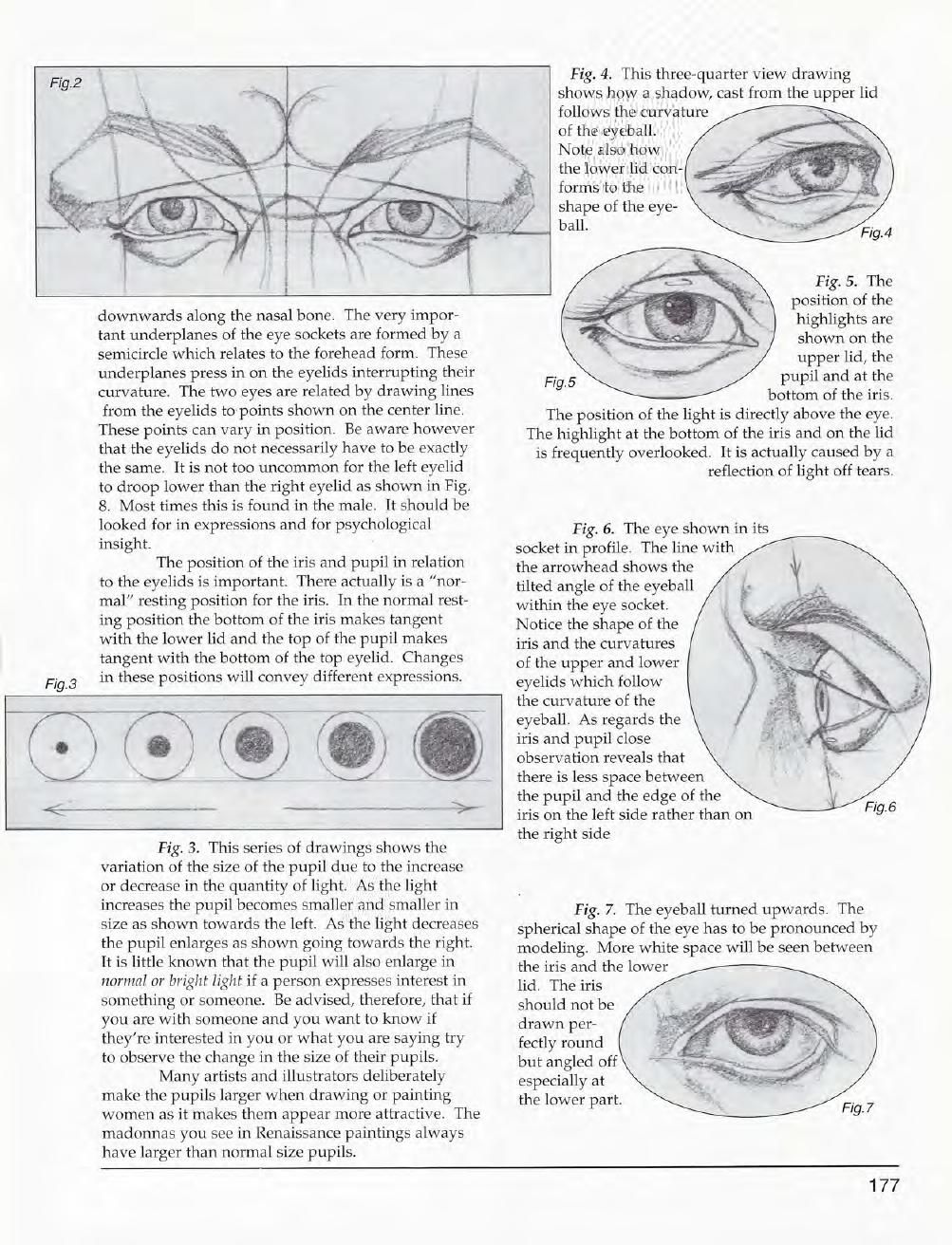 Mastering Drawing the Human Figure: From Life, Memory and Imagination 178