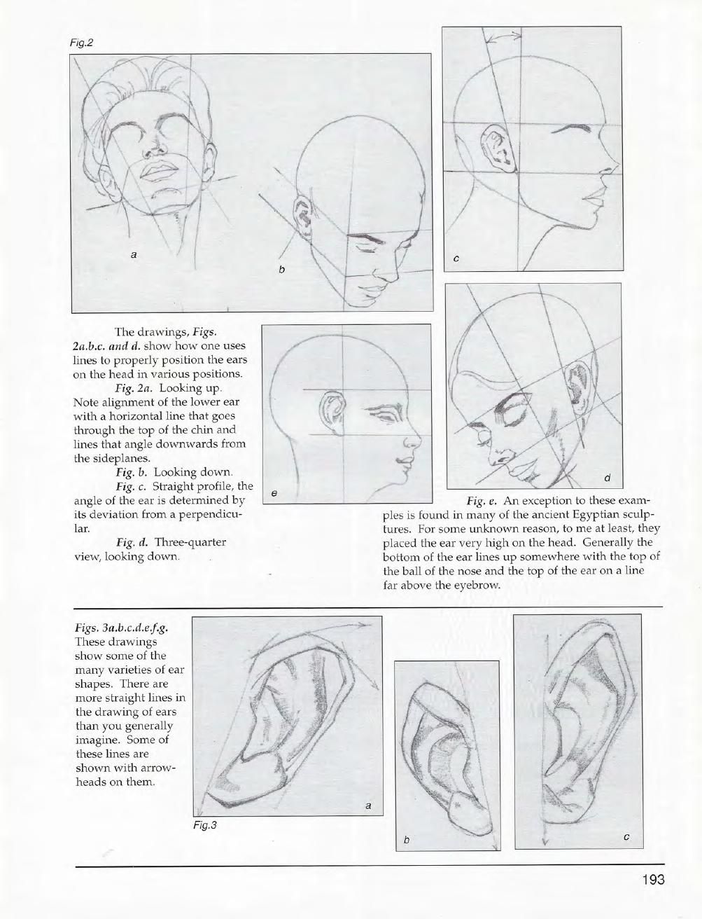 Mastering Drawing the Human Figure: From Life, Memory and Imagination 194