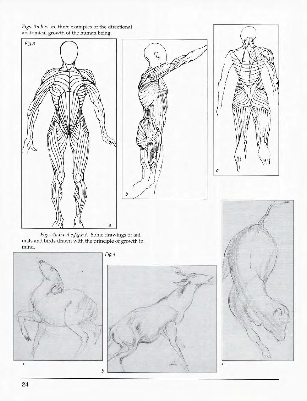 Mastering Drawing the Human Figure: From Life, Memory and Imagination 25