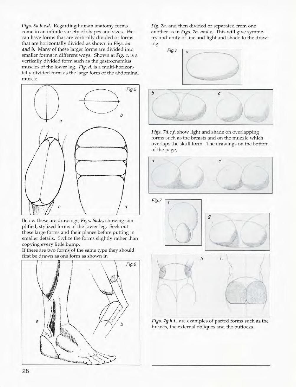 Mastering Drawing the Human Figure: From Life, Memory and Imagination 29