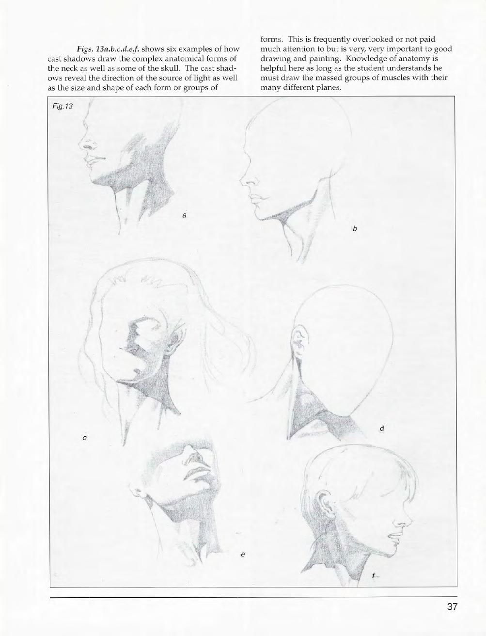 Mastering Drawing the Human Figure: From Life, Memory and Imagination 38