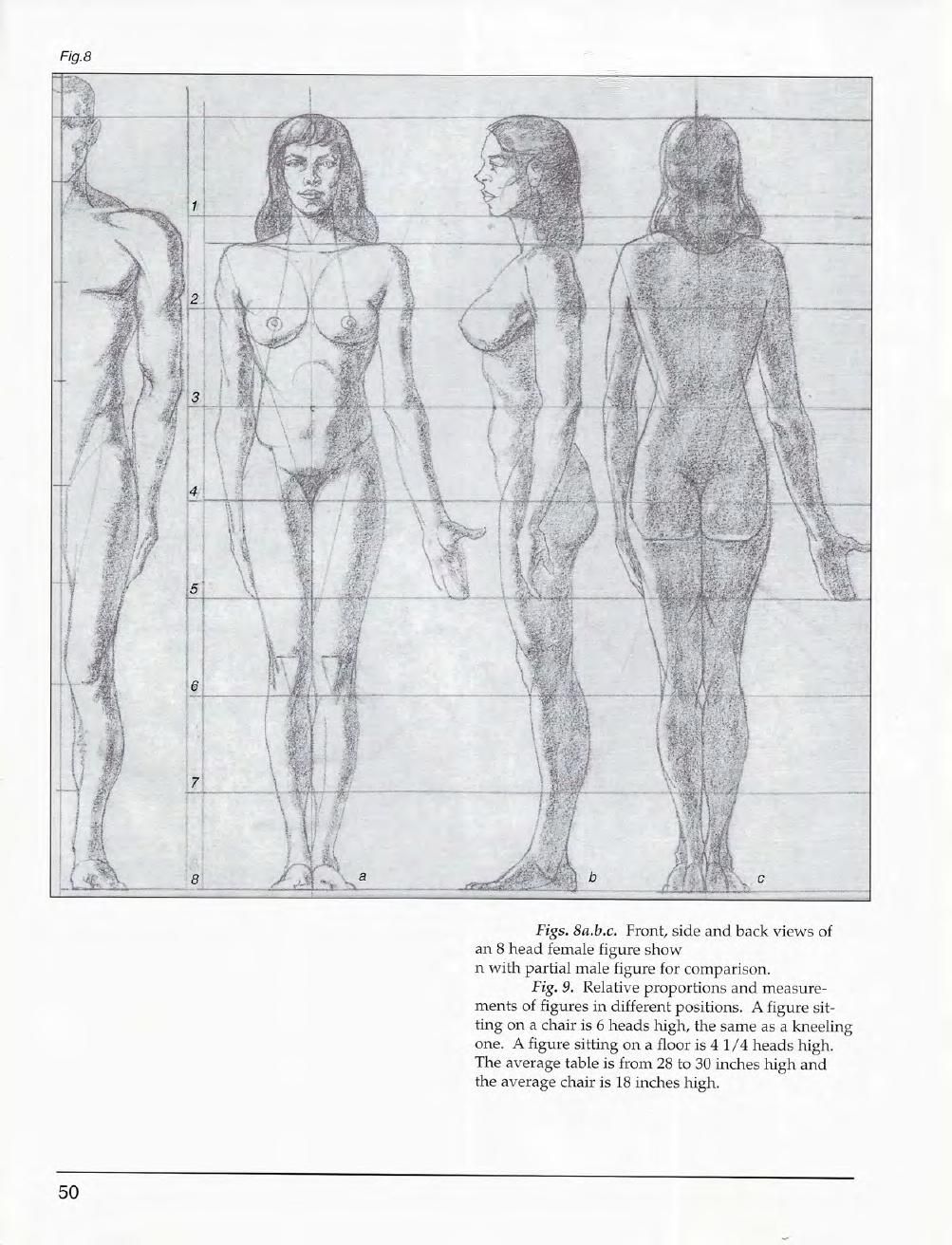 Mastering Drawing the Human Figure: From Life, Memory and Imagination 51