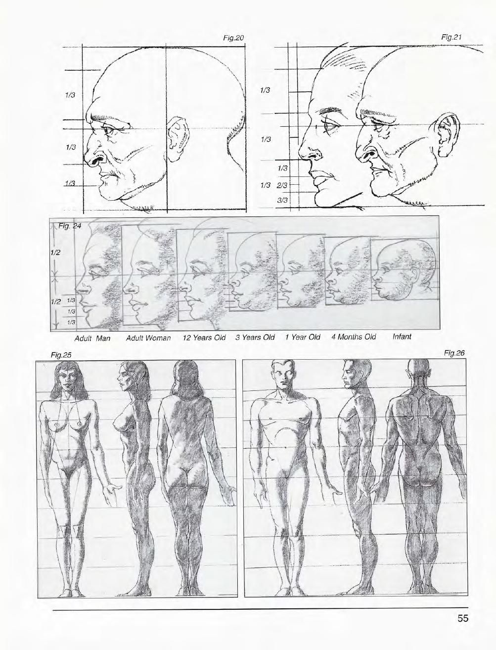 Mastering Drawing the Human Figure: From Life, Memory and Imagination 56