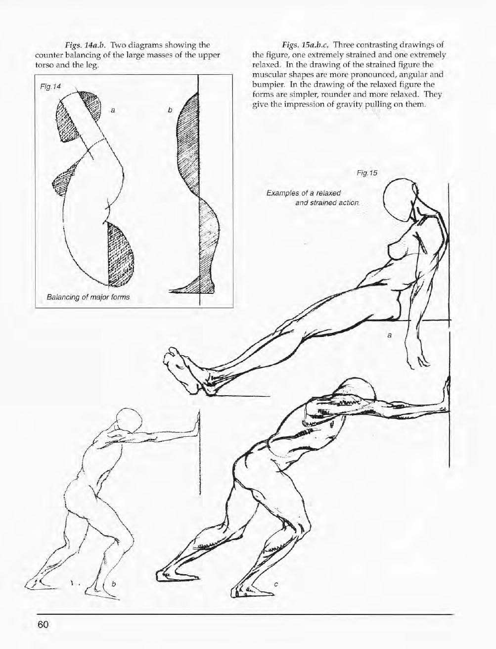 Mastering Drawing the Human Figure: From Life, Memory and Imagination 61