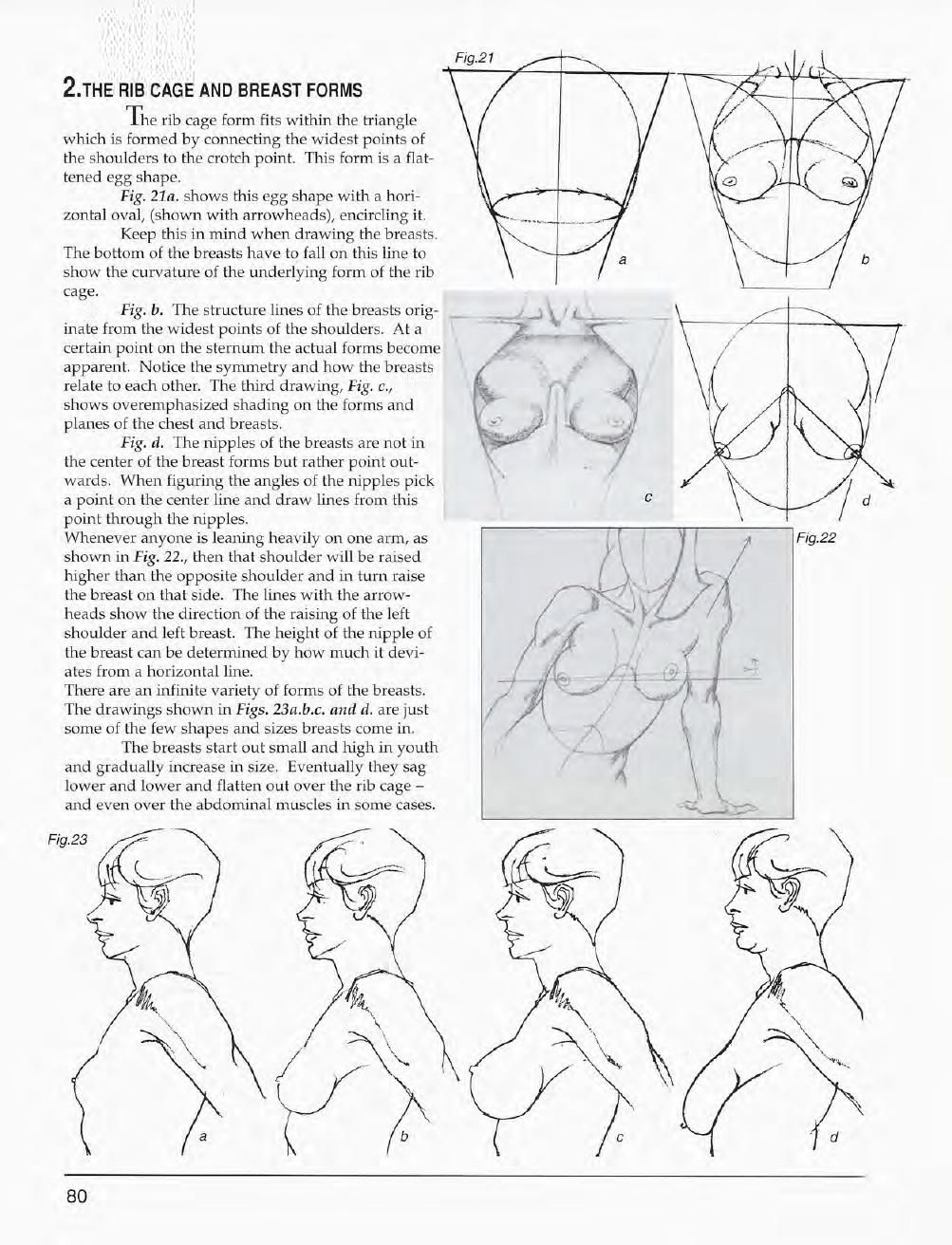 Mastering Drawing the Human Figure: From Life, Memory and Imagination 81