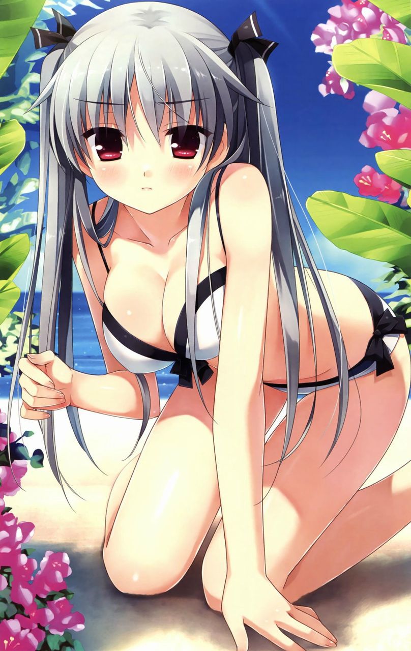 Lewd attire pools and swim wear sea eyes to nail it's swimsuit 16