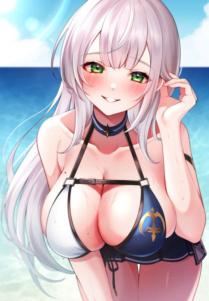 【Secondary】Silver-haired and white-haired girl image Part 30 15