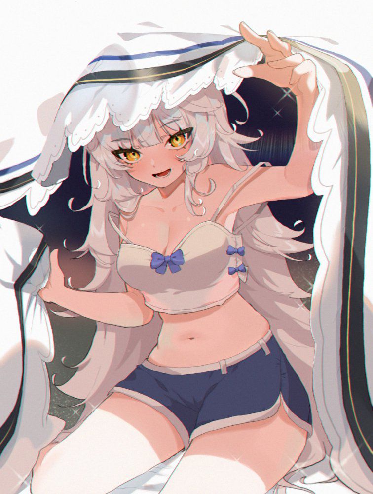 【Secondary】Silver-haired and white-haired girl image Part 30 18