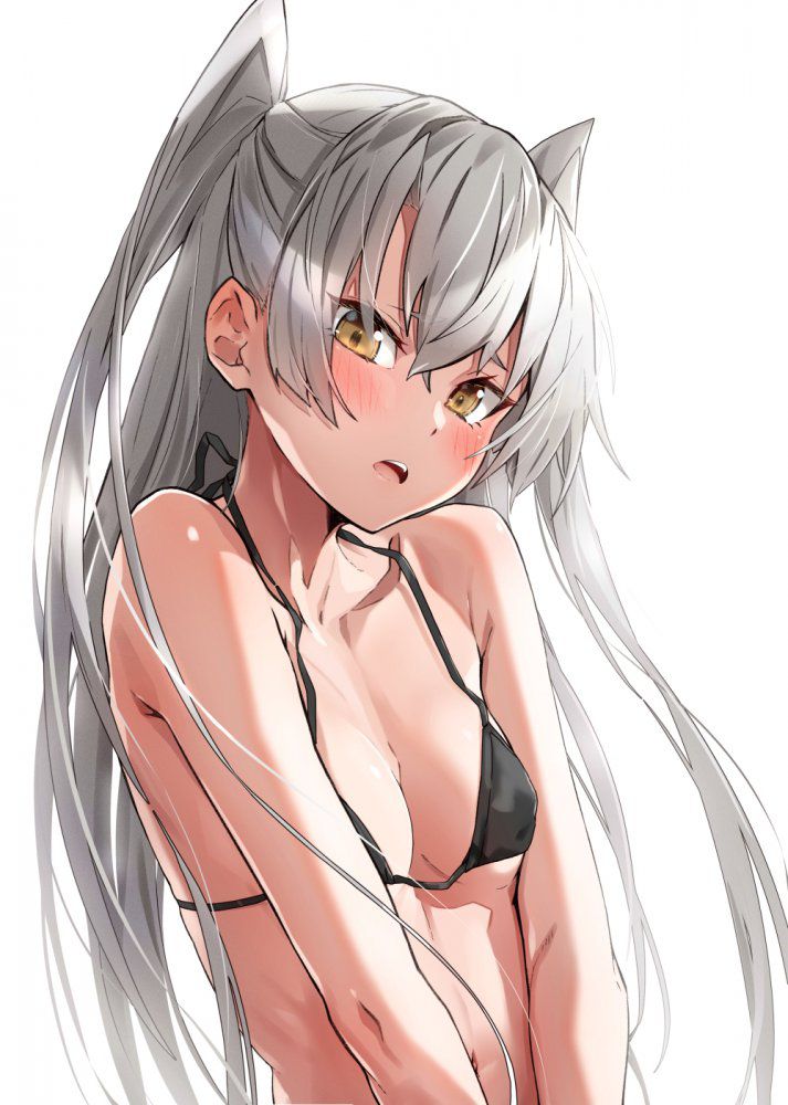 【Secondary】Silver-haired and white-haired girl image Part 30 2